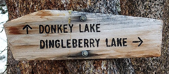 donkey lake